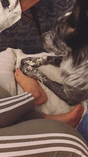 Adriene Mishler feet photo thumbnail