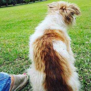 Nicole Neumann feet photo thumbnail