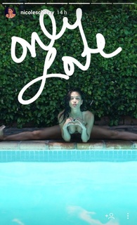 Nicole Scherzinger feet photo thumbnail