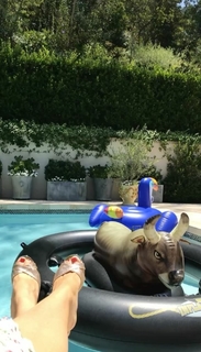 Sofía Vergara feet photo thumbnail