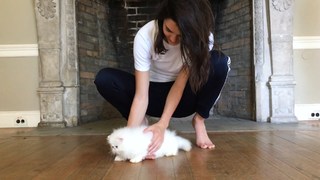 Kendall Jenner feet photo thumbnail