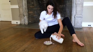 Kendall Jenner feet photo thumbnail