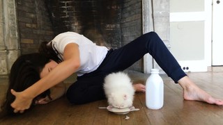 Kendall Jenner feet photo thumbnail