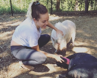 Miley Cyrus feet photo thumbnail
