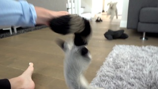 Justine Ezarik feet photo thumbnail
