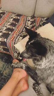 Adriene Mishler feet photo thumbnail