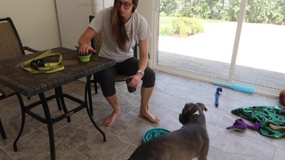 Rachel Ballinger feet photo thumbnail
