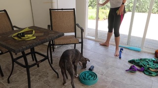 Rachel Ballinger feet photo thumbnail