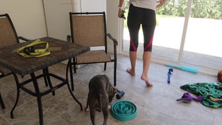 Rachel Ballinger feet photo thumbnail
