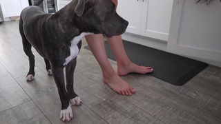 Rachel Ballinger feet photo thumbnail