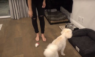 Justine Ezarik feet photo thumbnail