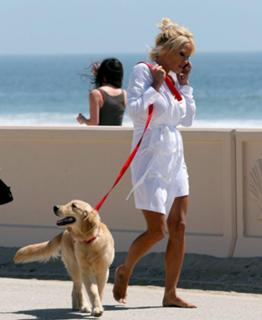 Pamela Anderson feet photo thumbnail