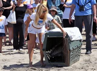 Pamela Anderson feet photo thumbnail