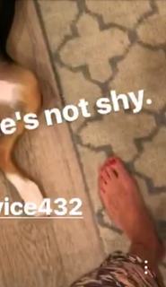 Katie Cassidy feet photo thumbnail