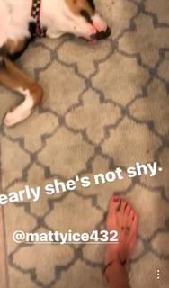 Katie Cassidy feet photo thumbnail
