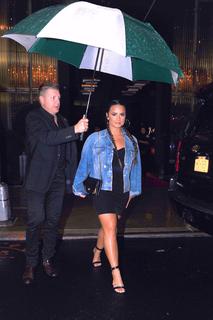 Demi Lovato feet photo thumbnail