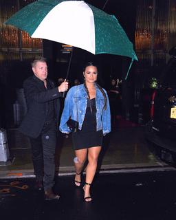 Demi Lovato feet photo thumbnail