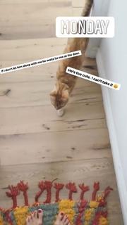 Ashley Madekwe feet photo thumbnail