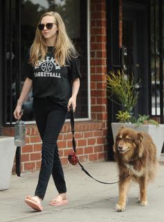 Amanda Seyfried feet photo thumbnail