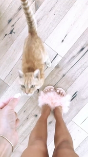 Ashley Madekwe feet photo thumbnail