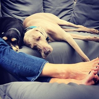 Malgorzata Kozuchowska feet photo thumbnail