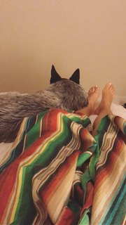 Adriene Mishler feet photo thumbnail