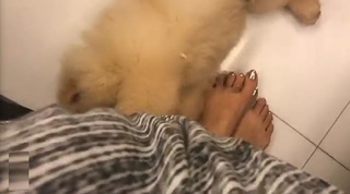 Raai Laxmi feet photo thumbnail