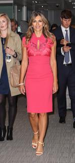 Elizabeth Hurley feet photo thumbnail