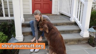 Amanda Seyfried feet photo thumbnail
