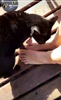Lívia Andrade feet photo thumbnail