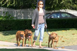 Jessica Biel feet photo thumbnail