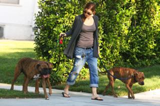 Jessica Biel feet photo thumbnail