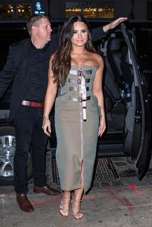 Demi Lovato feet photo thumbnail