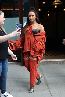 Demi Lovato feet photo thumbnail