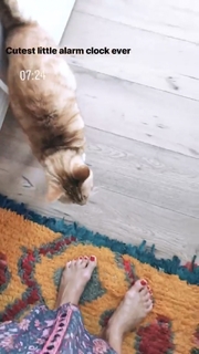 Ashley Madekwe feet photo thumbnail