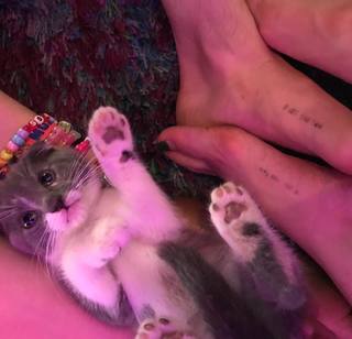 Bella Thorne feet photo thumbnail
