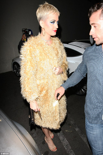 Katy Perry feet photo thumbnail