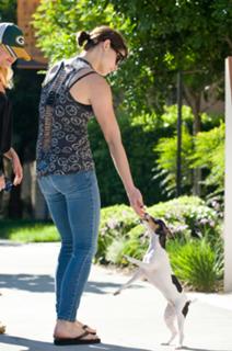 Ashley Greene feet photo thumbnail