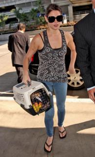 Ashley Greene feet photo thumbnail
