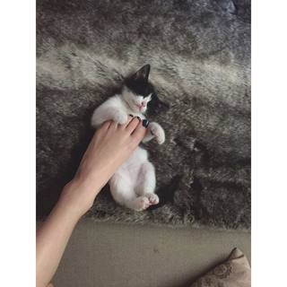 Blanca Suárez feet photo thumbnail