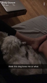Emily Osment feet photo thumbnail