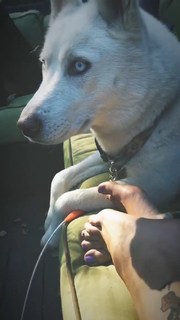 Paris Jackson feet photo thumbnail