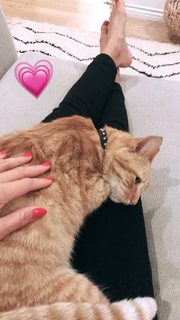 Ashley Madekwe feet photo thumbnail