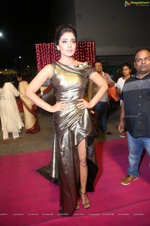 Shriya Saran feet photo thumbnail