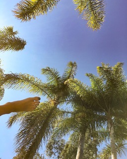 Emily Osment feet photo thumbnail