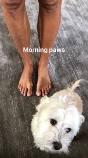 Kelly Bensimon feet photo thumbnail