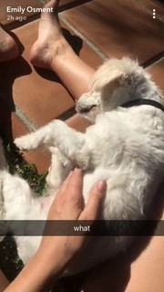 Emily Osment feet photo thumbnail