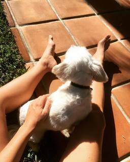 Emily Osment feet photo thumbnail