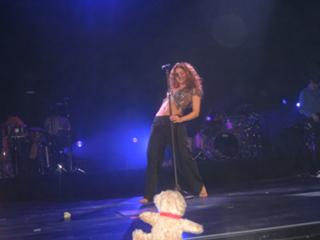 Shakira feet photo thumbnail
