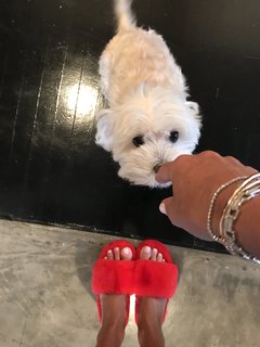 Kelly Bensimon feet photo thumbnail